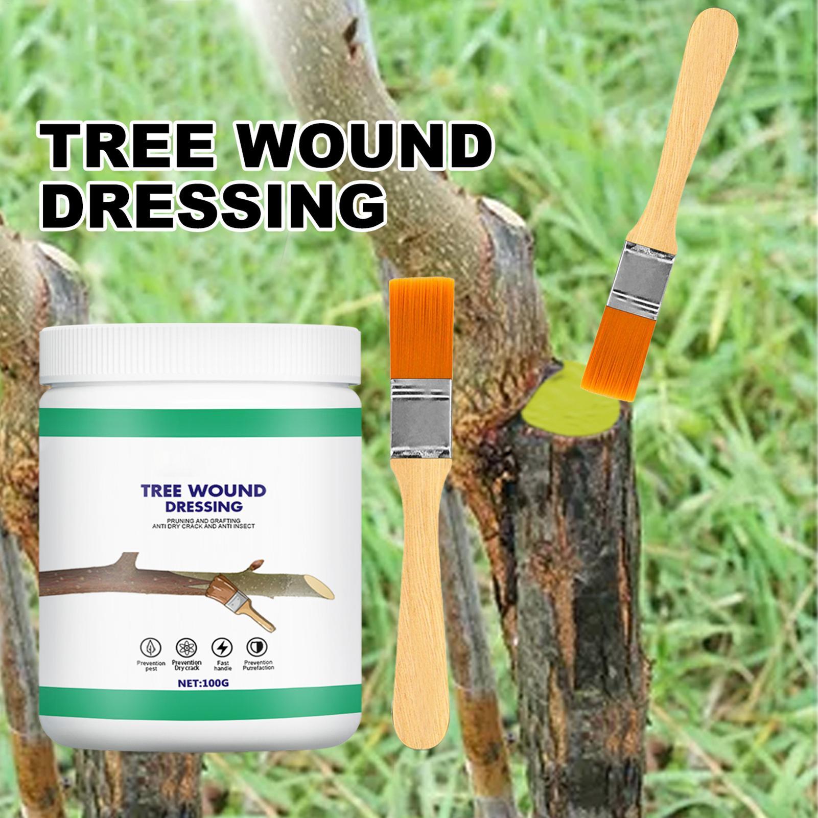 Pruning Sealer 100g Protective - Paint Brush ulasan dan harga